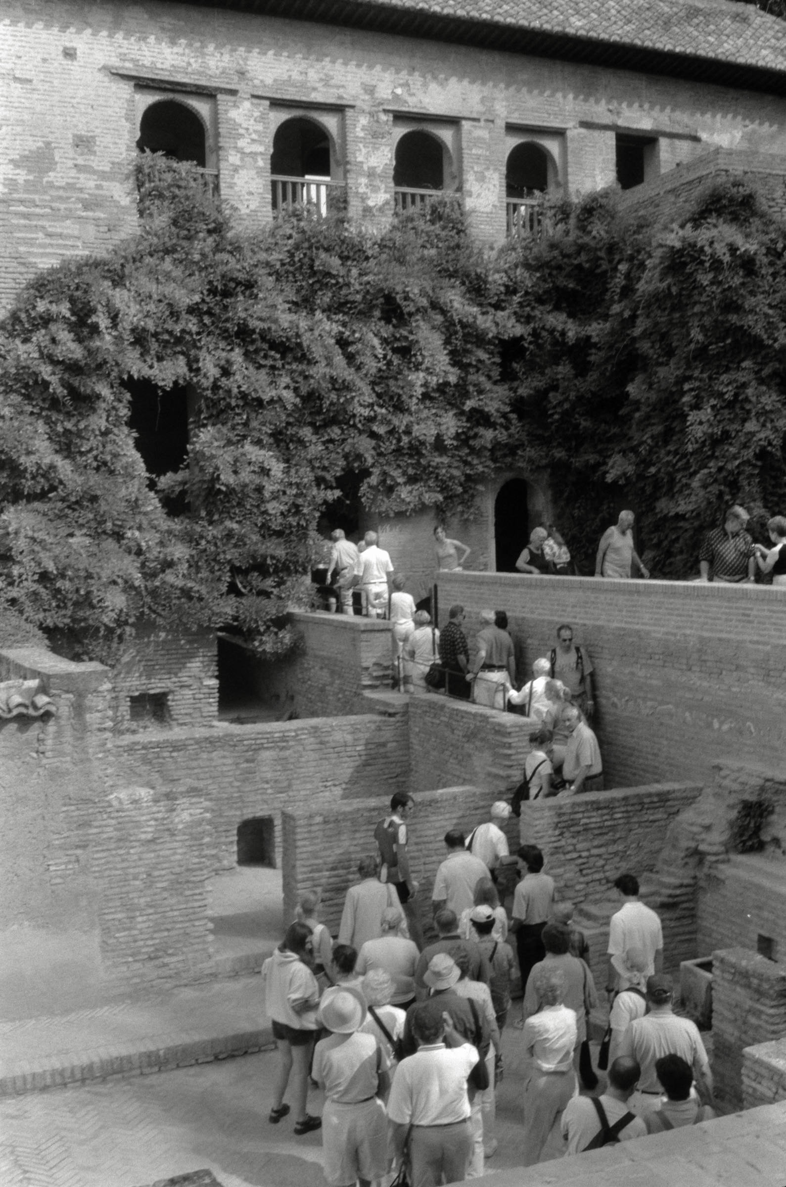 AHP F2001 07 002 sc240901 img07 NLP